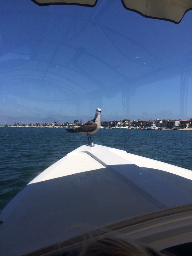 Duffy boat ride